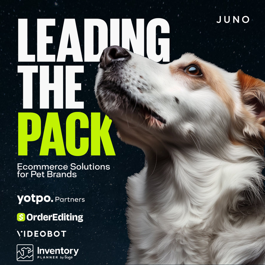 Leading the Pack with Shopify Ecommerce Solutions for Pet Brands